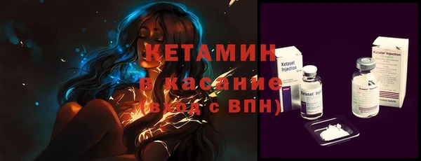 прущие грибы Аркадак
