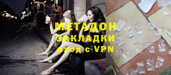 прущие грибы Аркадак