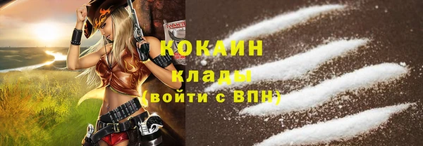 прущие грибы Аркадак