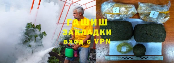 прущие грибы Аркадак