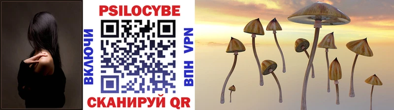 где найти наркотики  KRAKEN как войти  Псилоцибиновые грибы MAGIC MUSHROOMS  Пустошка 
